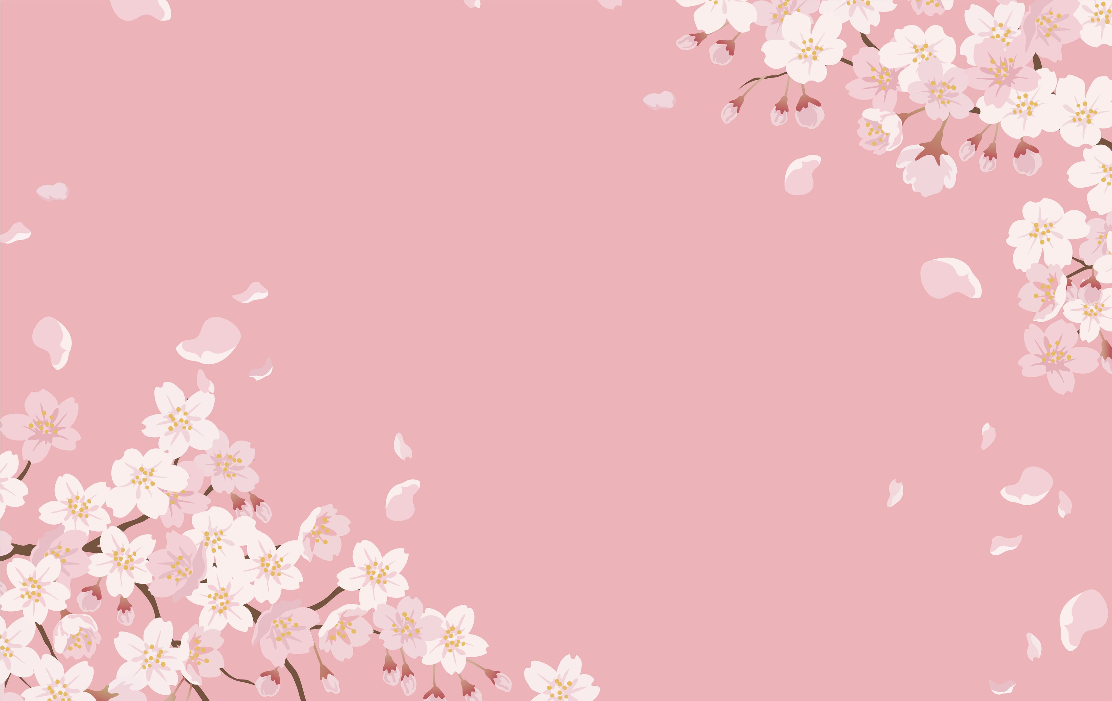 Fondo